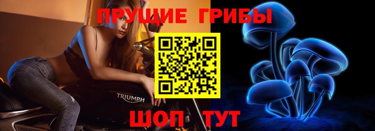 Псилоцибиновые грибы прущие грибы  Псилоцибиновые грибы мухоморы  Вход с VPN  продажа наркотиков  Черняховск 